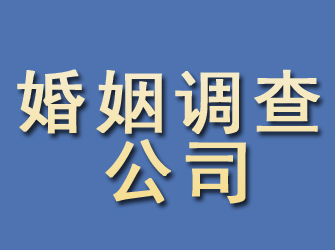 沧浪婚姻调查公司